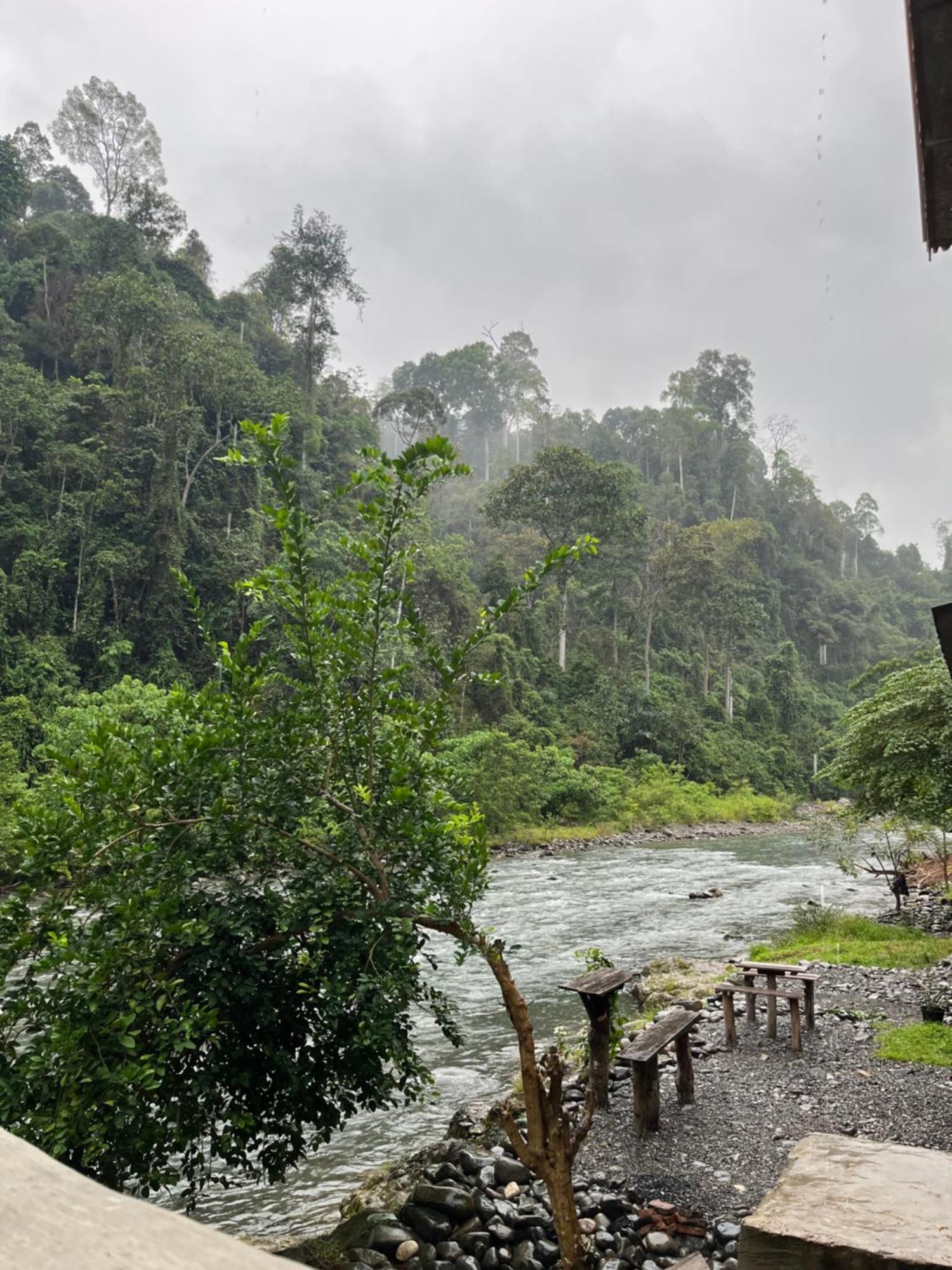 Ridho'S Homestay & Jungle Trekking Bukit Lawang Kültér fotó